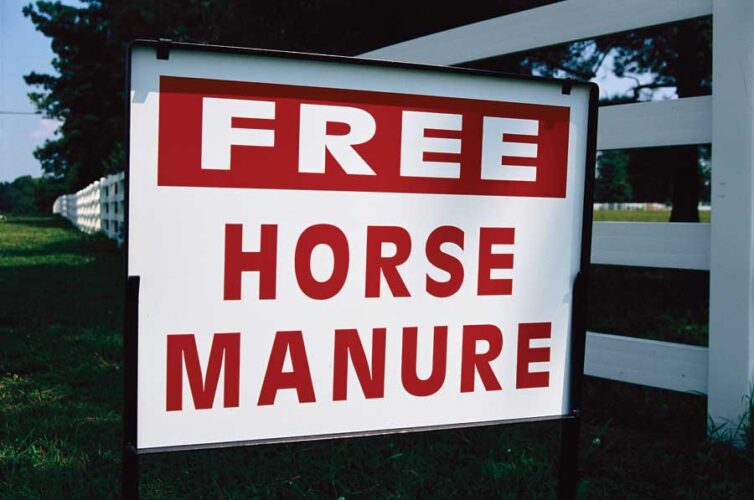 Keep Your Garden Safe From Killer Compost